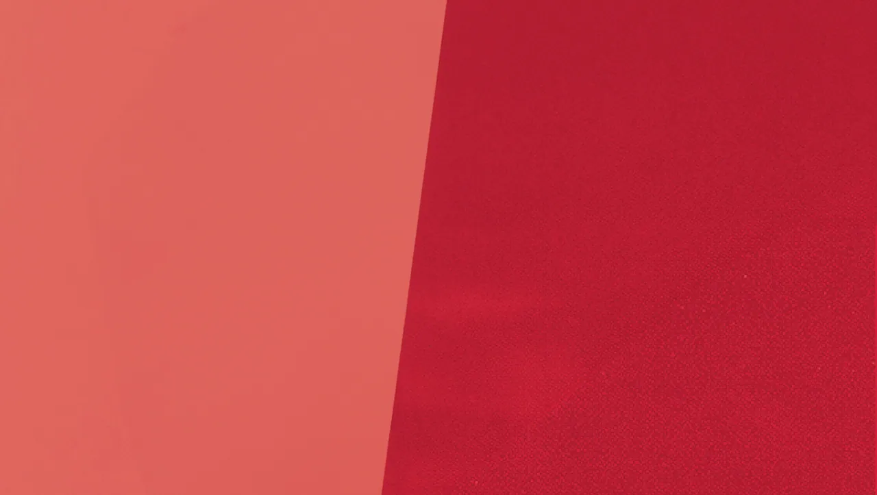 Sophia Loren in a red-toned portrait from the cover of the exhibit catalog