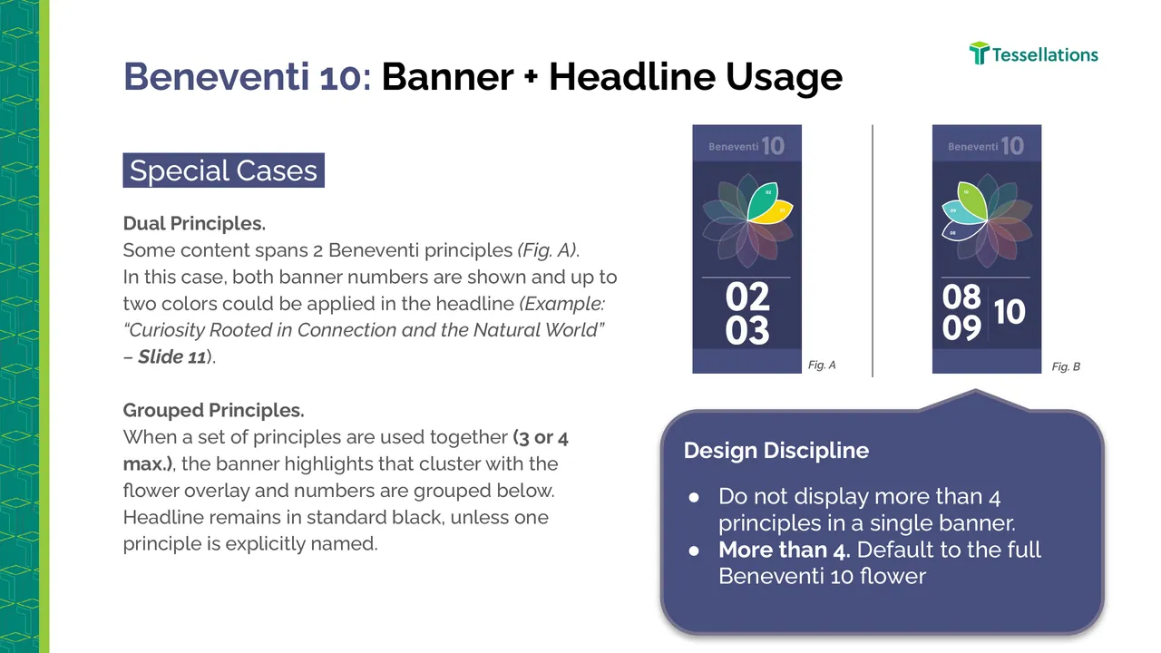 Special cases slide for dual and grouped principles, with design discipline notes