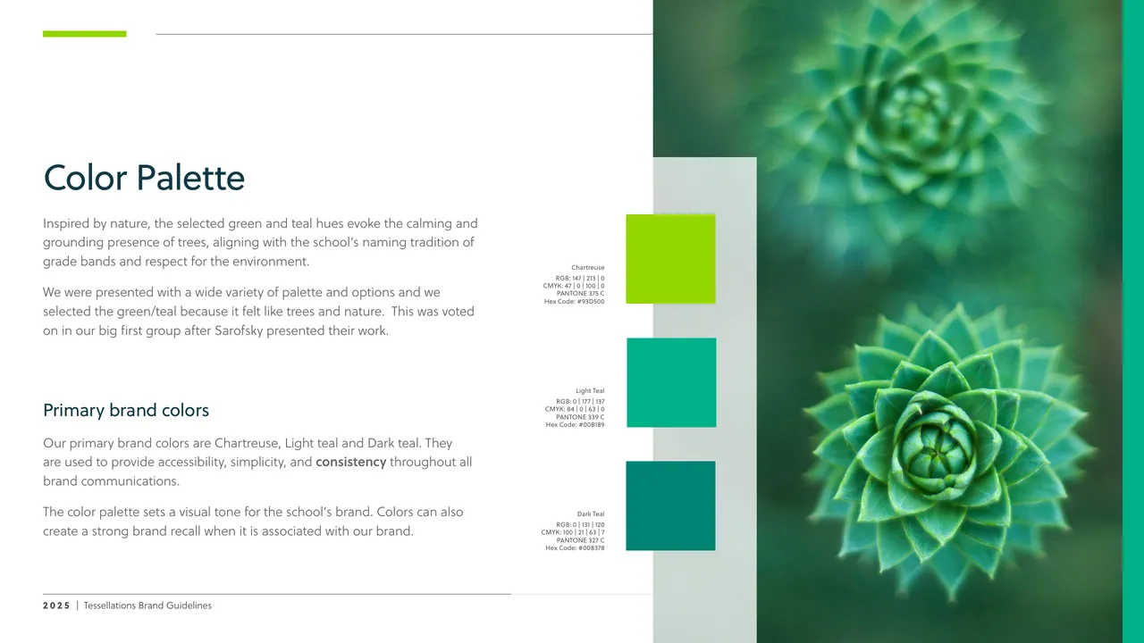 Color palette page with three greens beside a close-up of a succulent
