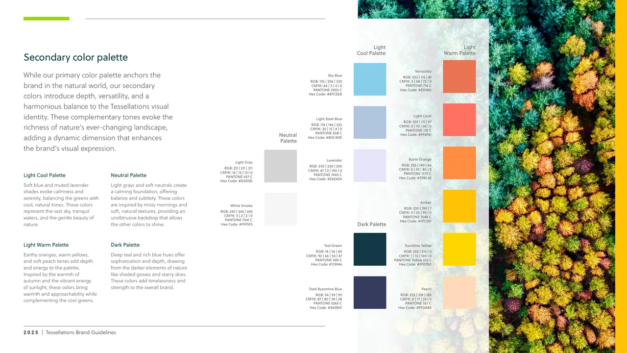 Secondary palette page with light cool, light warm, neutral and dark groups beside an aerial forest photograph